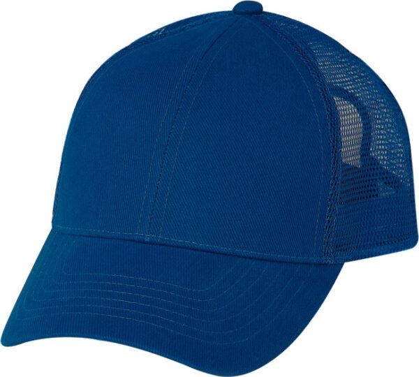 Low Crown (Constructed) 6 Panel Cotton Twill Mesh Cap (23208) - Image 5