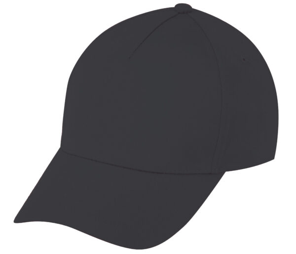 Low Crown (Constructed) 5 Panel Cotton Twill Cap (26103) - Image 5