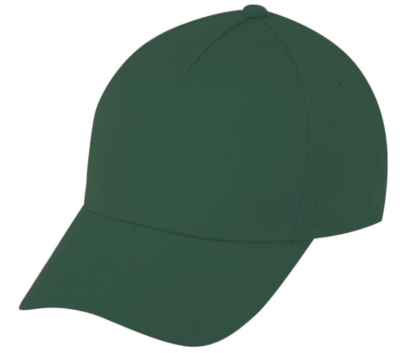 Low Crown (Constructed) 5 Panel Cotton Twill Cap (26103) - Image 8