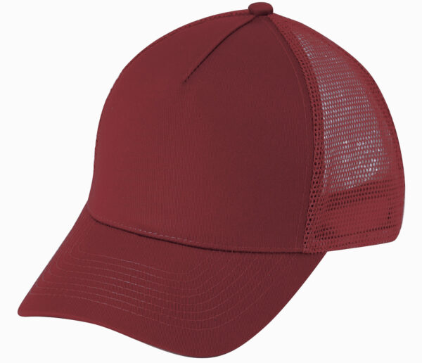 Low Crown (Constructed) 5 Panel Cotton Twill Mesh Cap (26105) - Image 4
