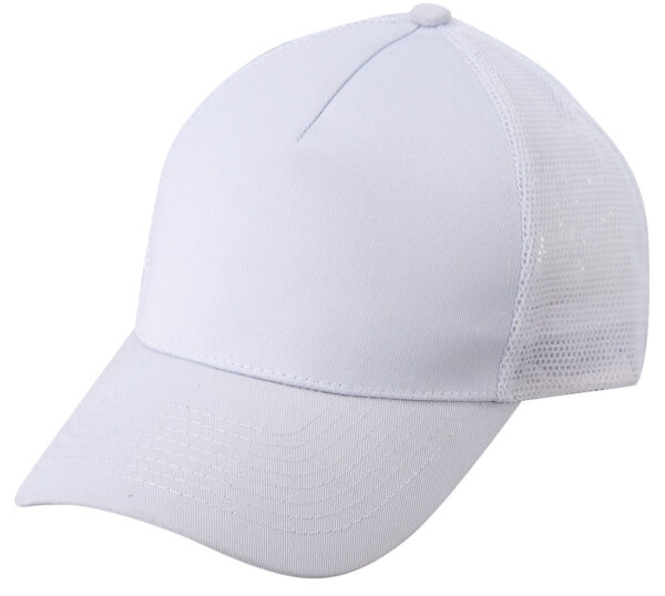 Low Crown (Constructed) 5 Panel Cotton Twill Mesh Cap (26105) - Image 6